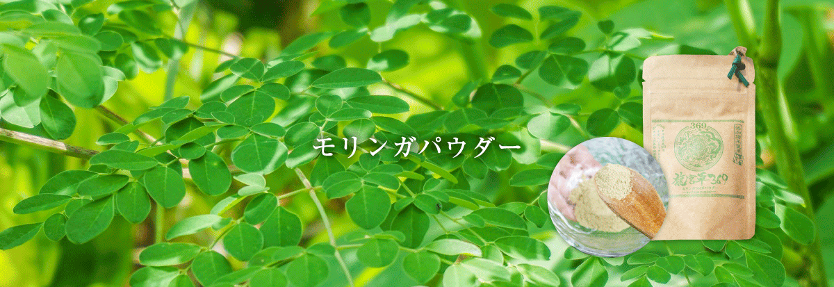 モリンガパウダー