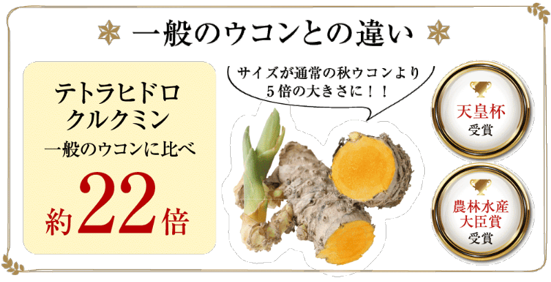 【一般のウコンとの違い】テトラヒドロクルクミンが一般のウコンに比べ約22倍。サイズが通常の秋ウコンより3倍の大きさに！天皇杯受賞・農林水産大臣賞受賞