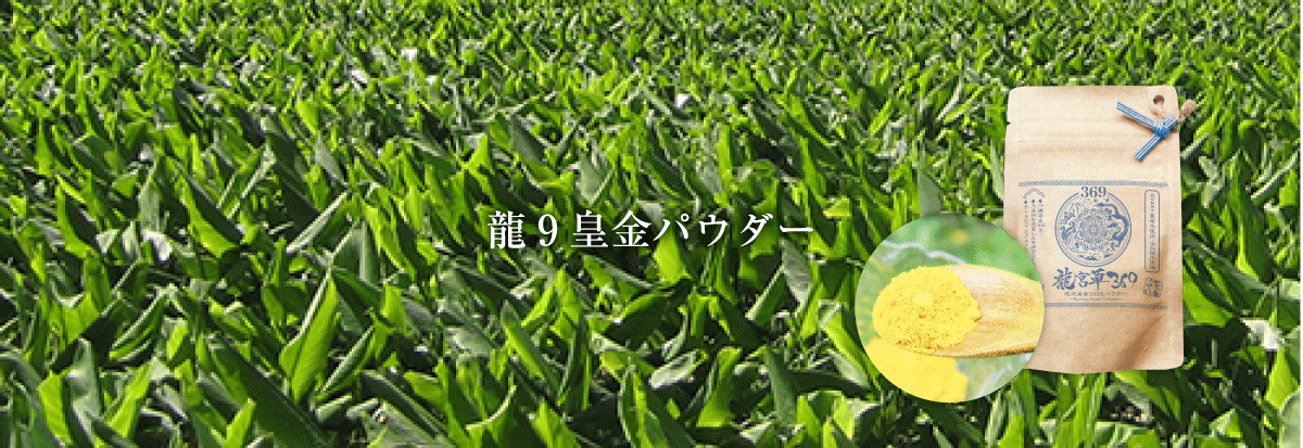 龍9皇金パウダー