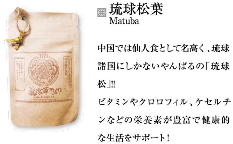 【珫球松業パウダー】中国では仙人食として名高く、琉球諸国にしかないやんばるの「琉球松」!!ビタミンやクロロフィル、ケセルチンなどの栄養素が豊富で健康的な生活をサポート!
