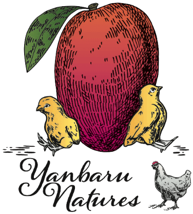 YanbaruNatures（ヤンバルネイチャーズ）